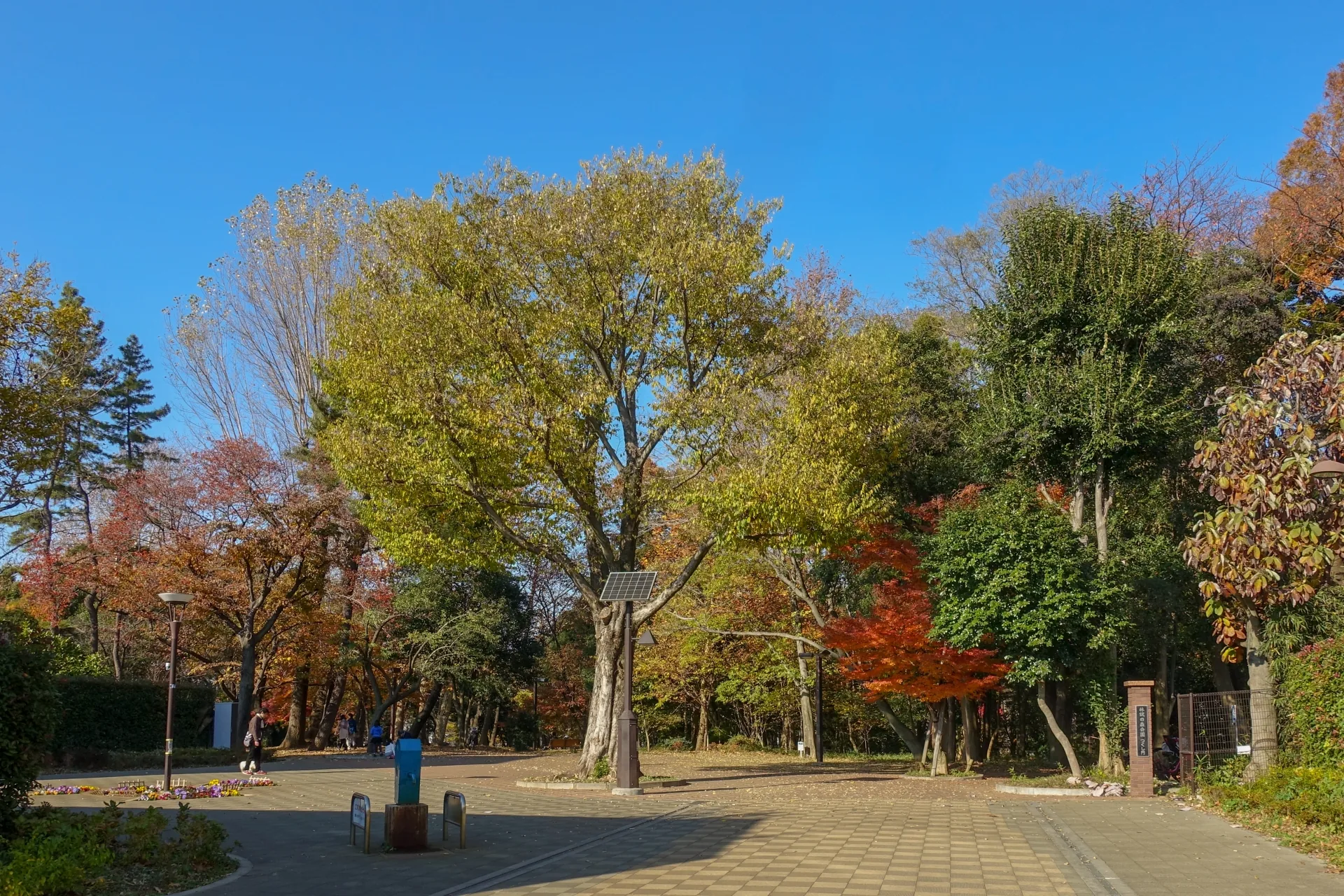 林試の森公園